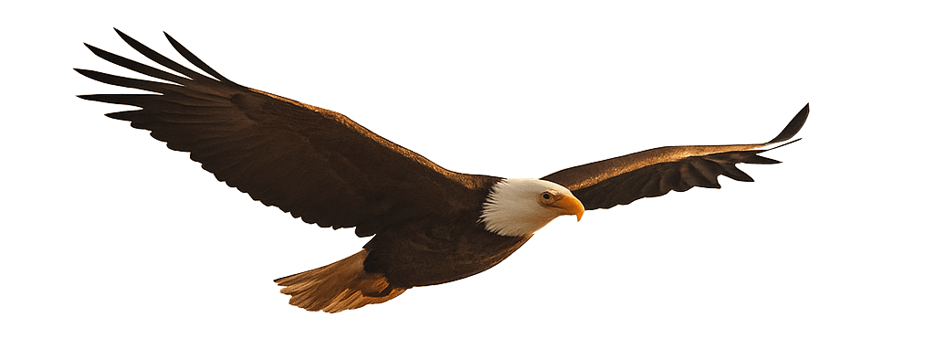 Transformative Relational Therapy Center